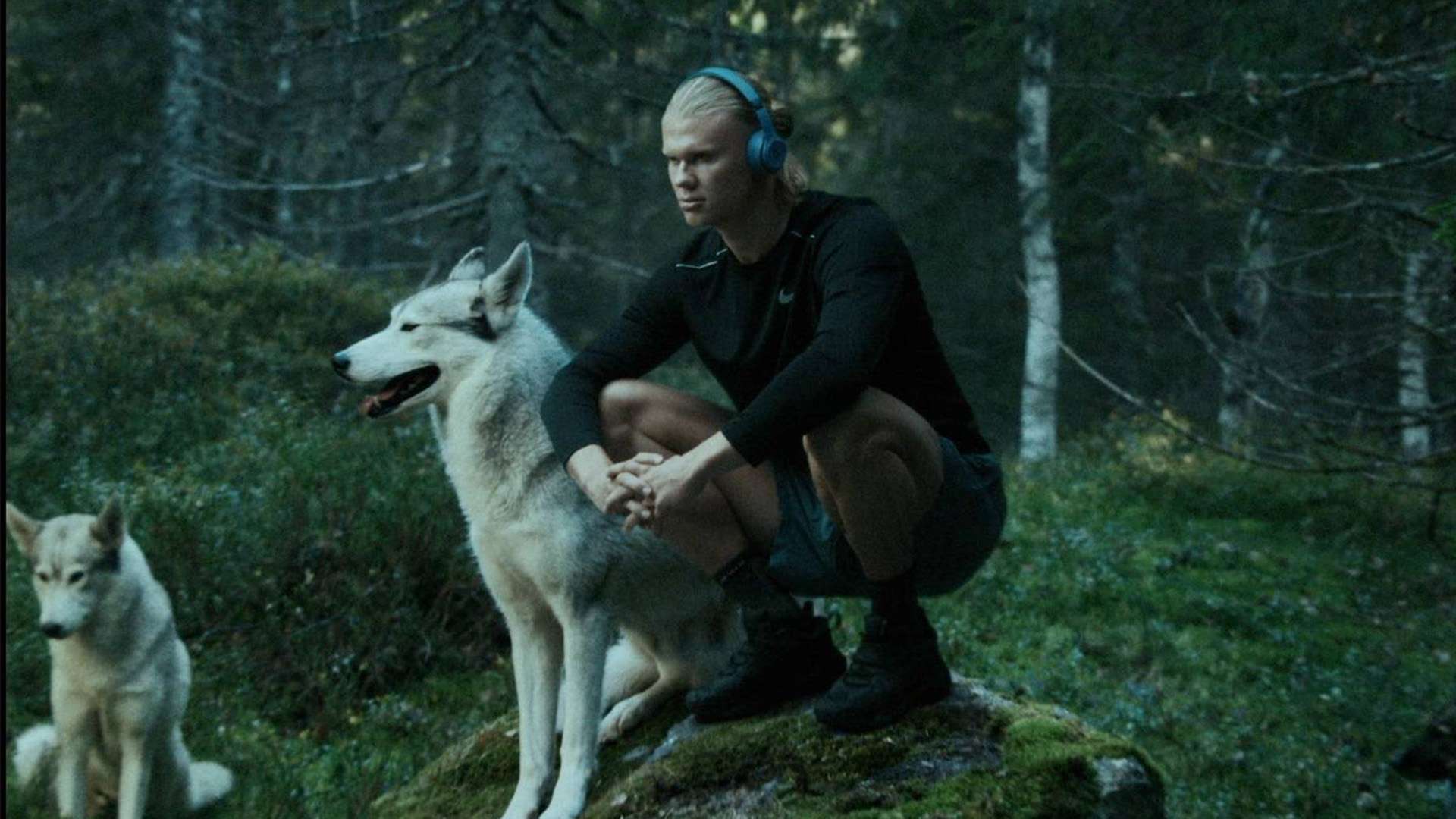 不仅依赖于 不仅依赖于